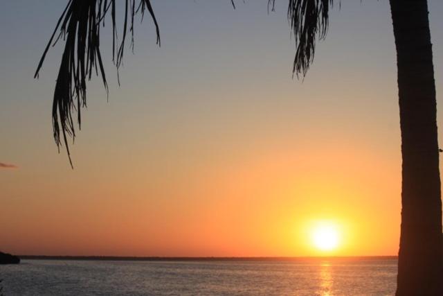 קנקון Ikarus Costa Mujeres Eco Lodge Sunset View מראה חיצוני תמונה